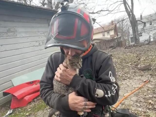 Independence man dedicates time to rescuing cats from trees across NEO ...