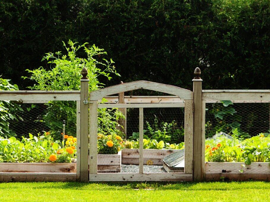 9 Simple Vegetable Garden Fence Ideas To Protect Your Produce