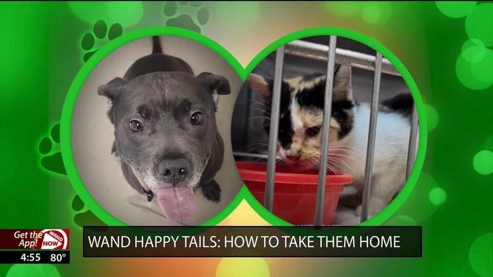 WAND's Happy Tails featuring Rattlesnake Jake and Nancy Sinatra - NewsBreak