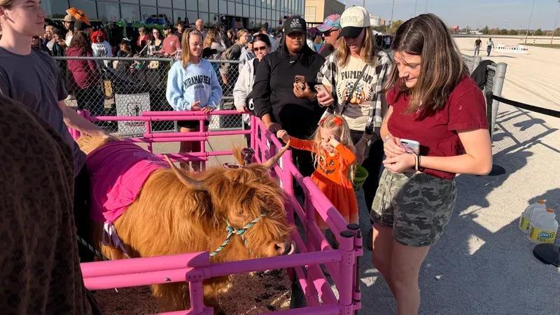 Fall festivities and wiener dog races at Hollywood Gaming - NewsBreak