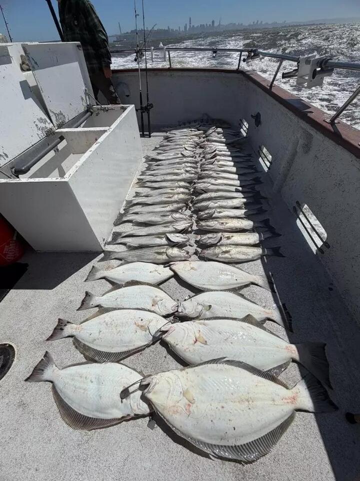 Happy Hooker Fish Report for 6-11-2026