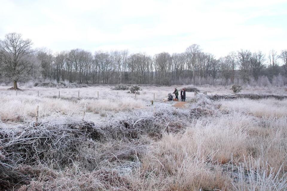 UK sees coldest January night in 15 years as winter snap continues ...