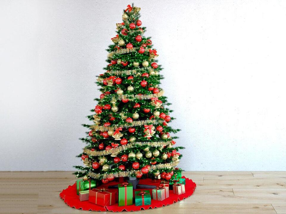 5 Goto Tips for TopNotch Christmas Tree Care