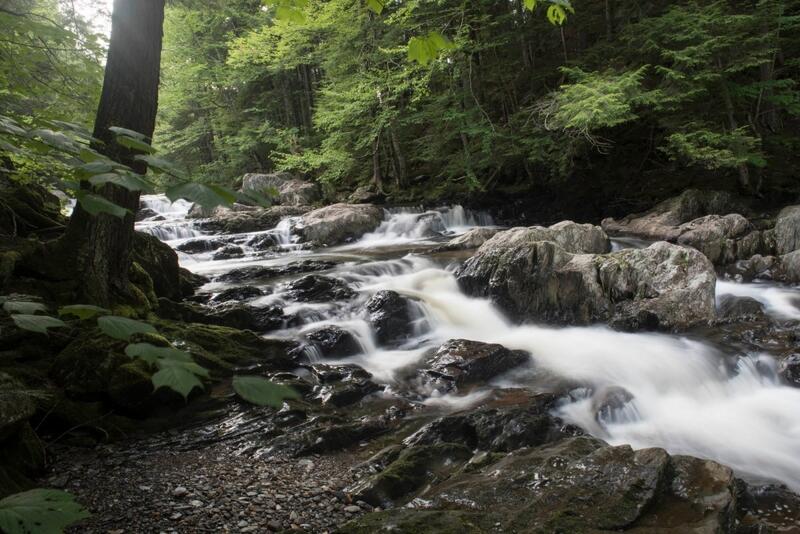 Thousands of acres conserved in Woodbury, where family plans to ...