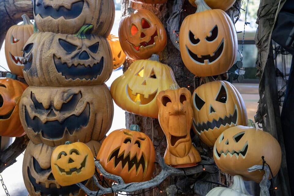 What's the best Halloween activity according to Sacramentans? Vote in ...