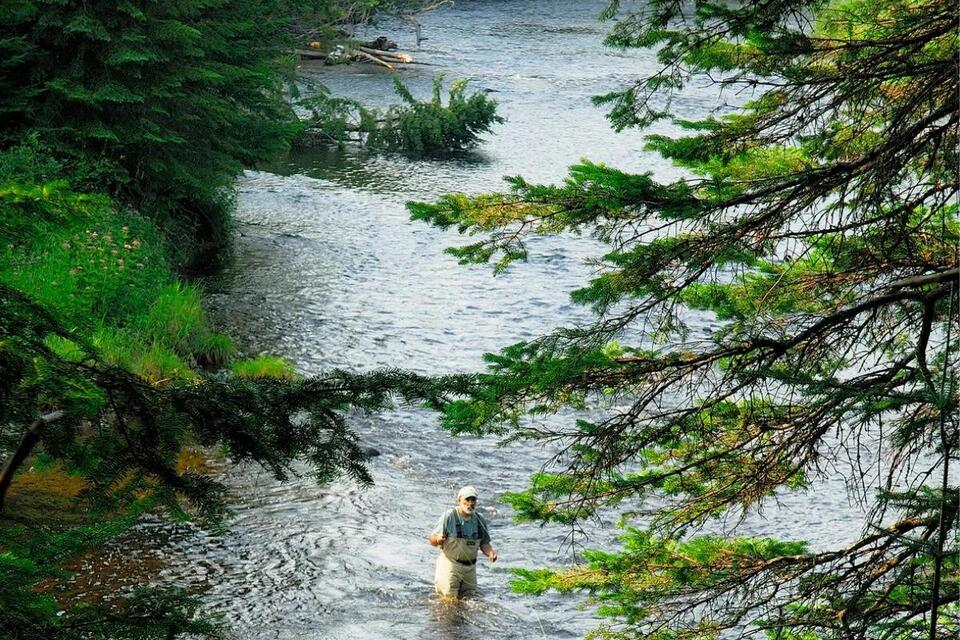 Why I keep returning to this Maine river after 40 years - NewsBreak