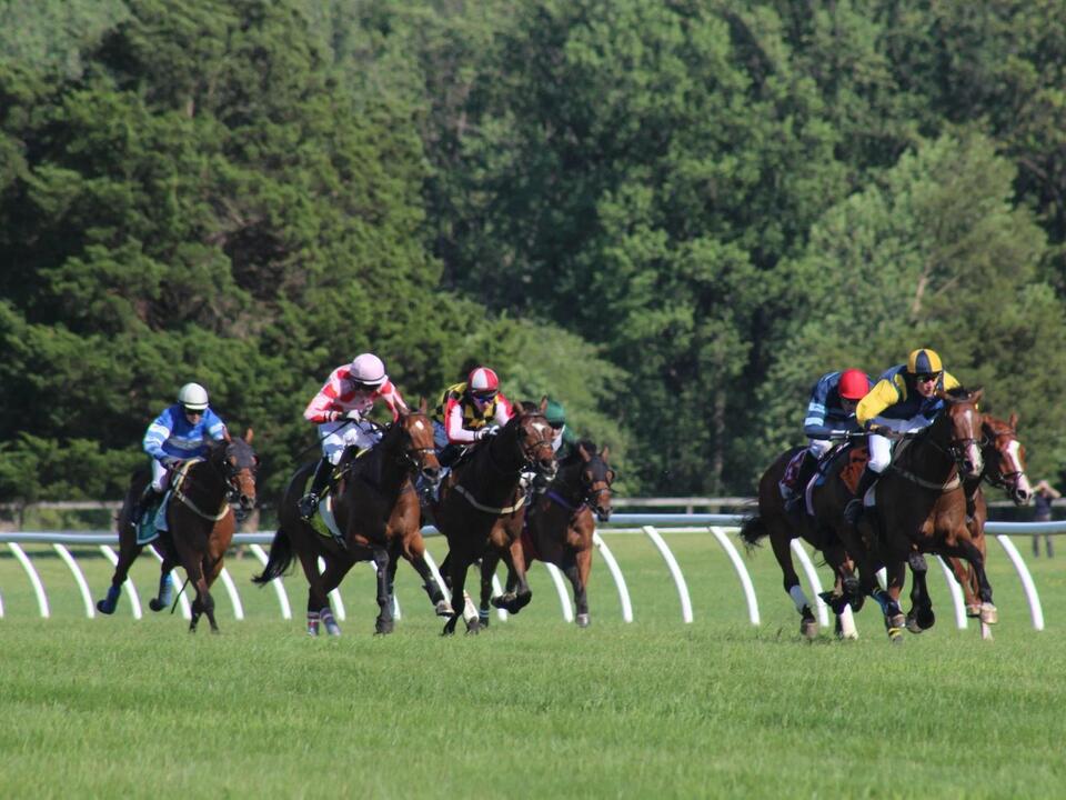 County council approves return of Fair Hill Races, five year renewal of