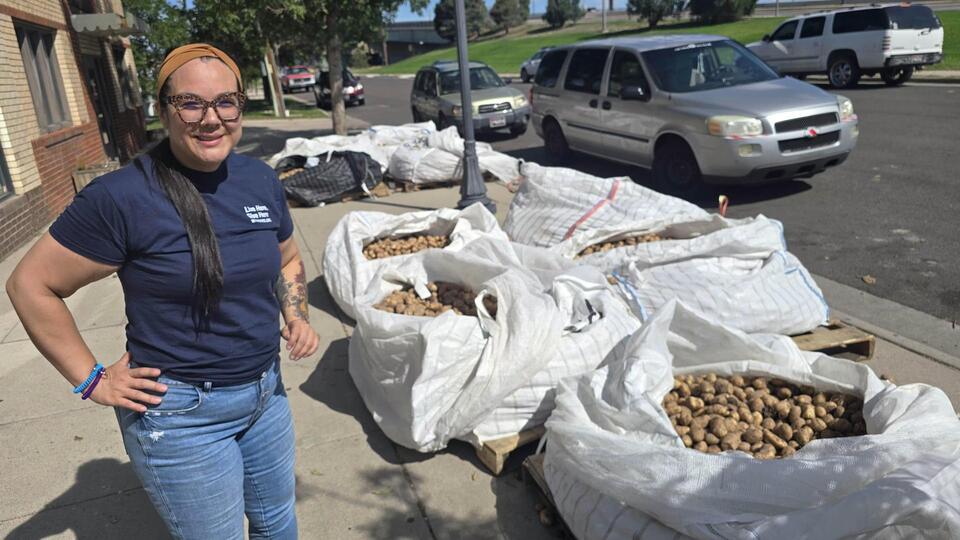 What A Mountain Of Free Potatoes Says About The Economy
