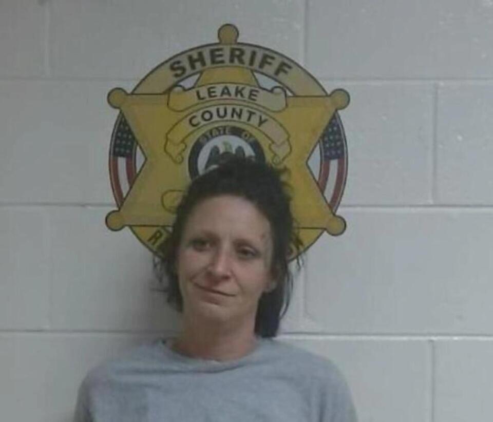 Woman jailed on gun, meth charges after traffic stop