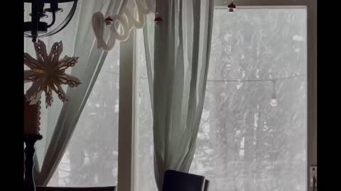 US: Winter Storm Dumps Up To A Foot Of Snow In Michigan - NewsBreak