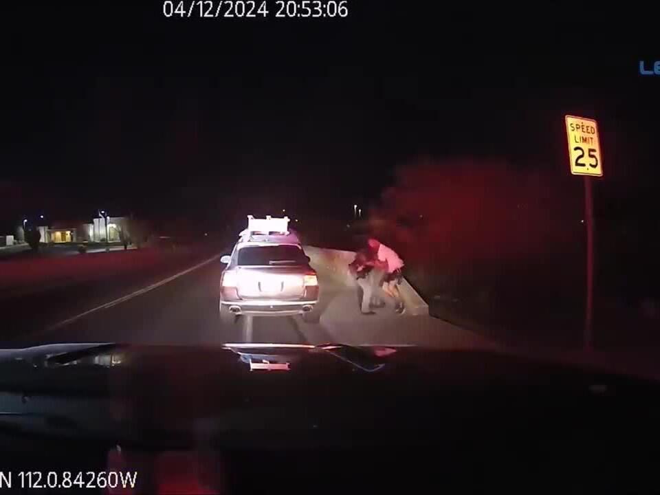GRAPHIC Videos show fight before deadly police shooting in Cottonwood