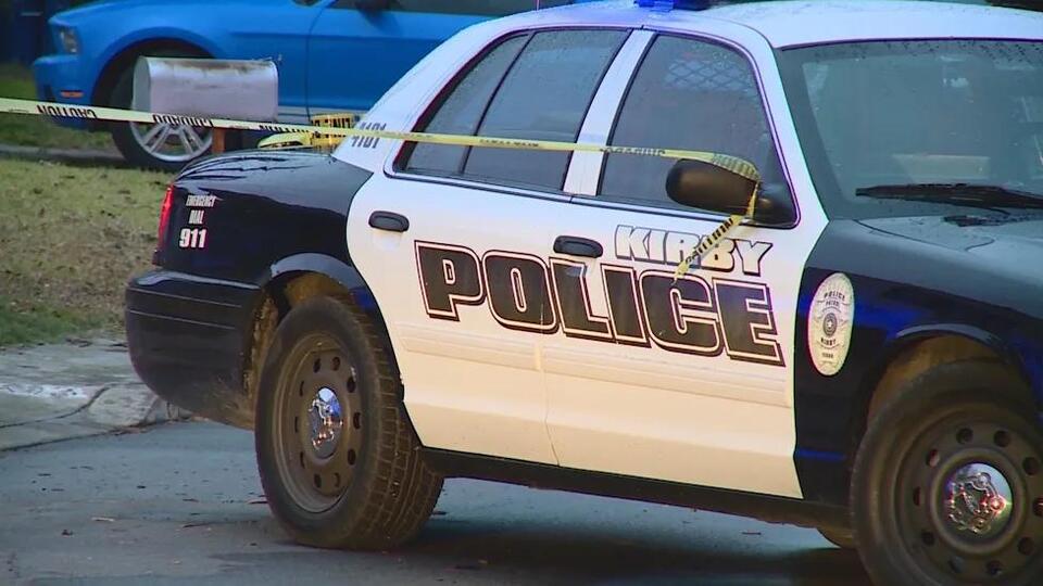 'Bee-type insects' swarm Kirby police officers, prompting intersection ...