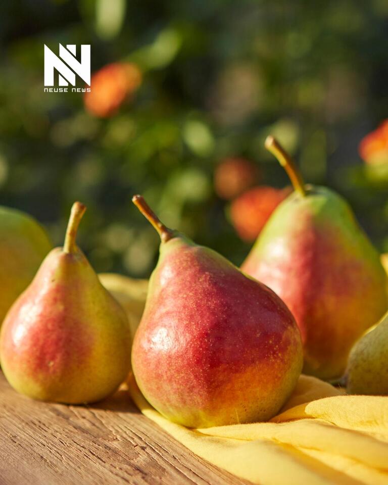 Cooking with Tammy Kelly: Pears, the Perfect Food