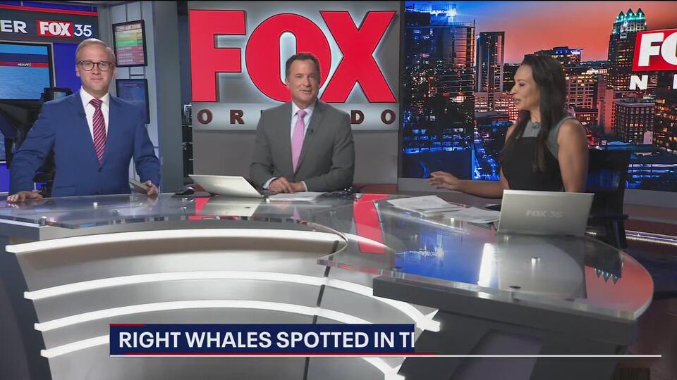 Orlando Weather Forecast Thursday Night, February 6th, 2025 NewsBreak