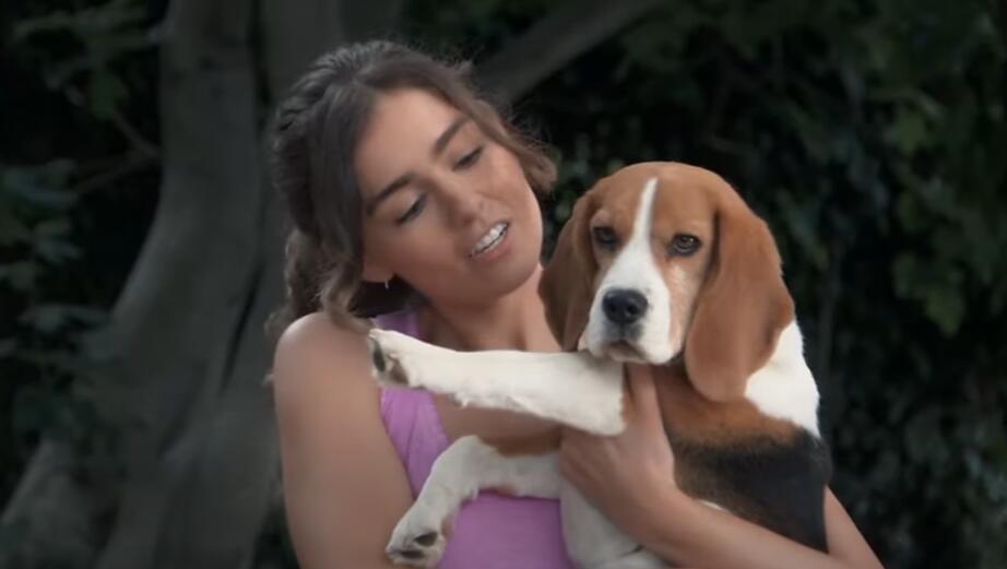 ‘General Hospital’ Spoilers: Jason Thompson (Ex-Patrick Drake GH ) and ...