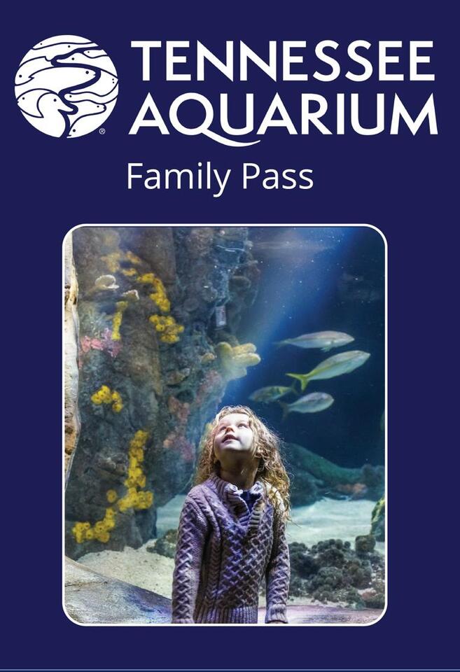 Library offers free family passes to Tennessee Aquarium - NewsBreak