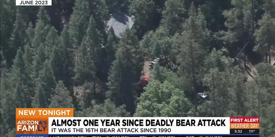 One year year: Neighbor recalls deadly bear attack in northern Arizona ...