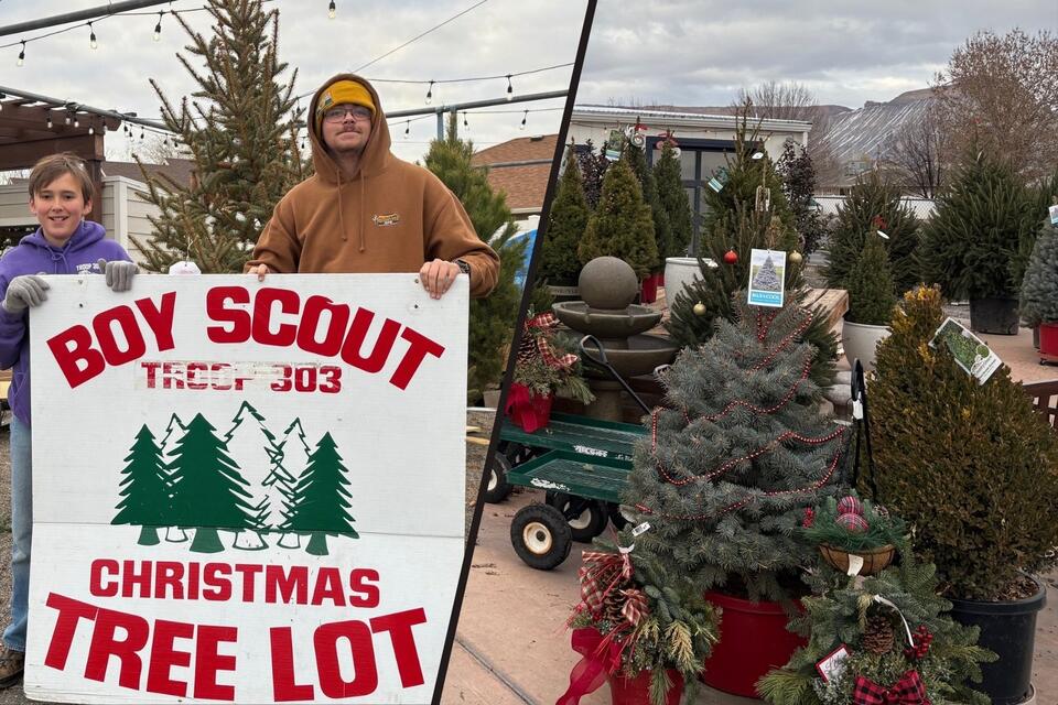 GJ Tree Sale To Help Scouts Reach Mount Rushmore - NewsBreak