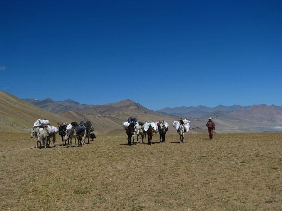 Top 10 Multi-day Horseback treks
