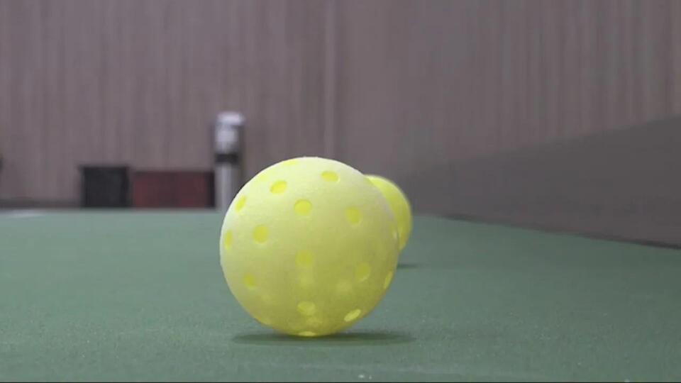 3 new pickleball courts coming to Rock Valley
