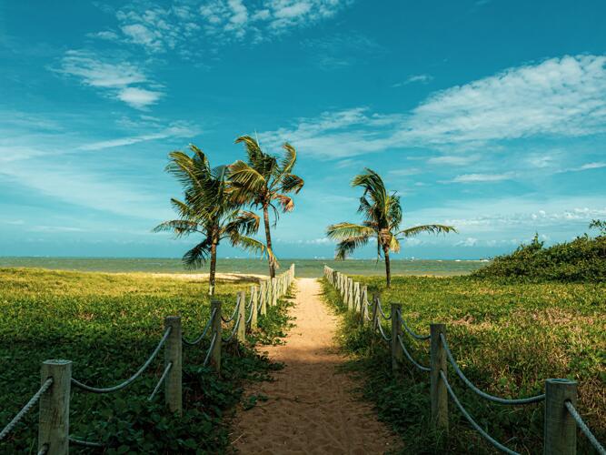 Livingston Daily Weather Forecast