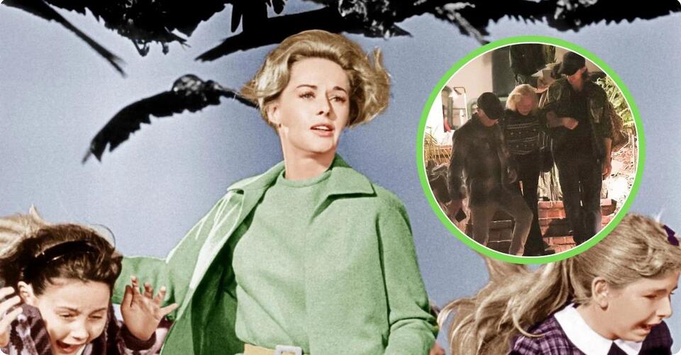 Tippi Hedren’s Rare Public Appearance As She Turns 96 Draws Attention ...