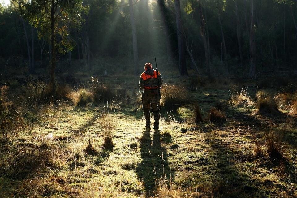 Michigan’s First Deer Harvest Numbers of 2026 Are In - NewsBreak