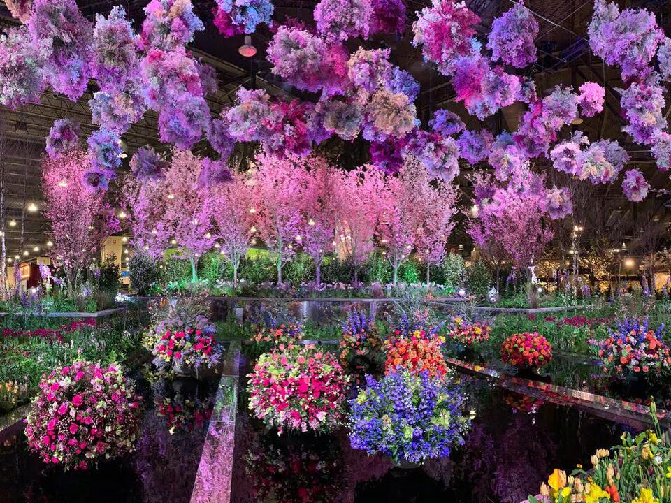 14 cool and colorful sights from the 2024 Philadelphia Flower Show