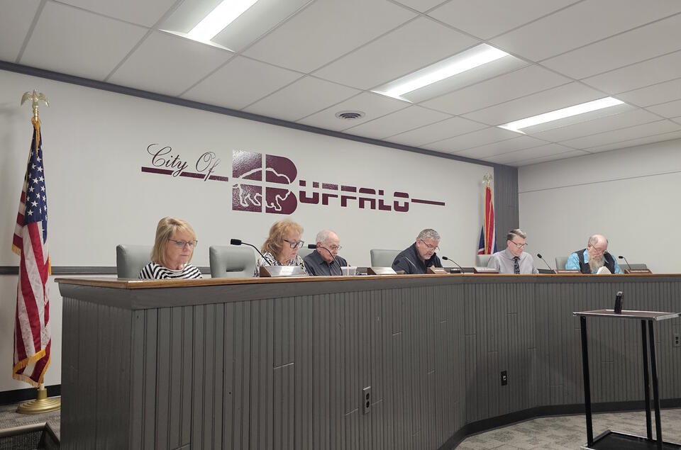 Buffalo Council Approves Mayor’s Appointments