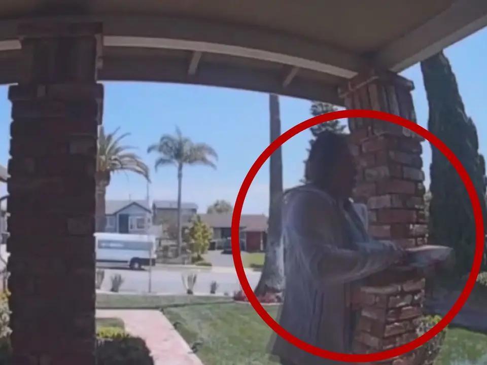 Burglars using pizza box as decoy to break into homes