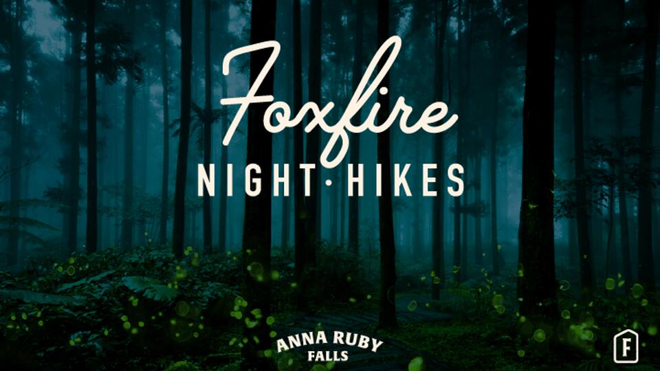Foxfire Night Hikes at Anna Ruby Falls - NewsBreak