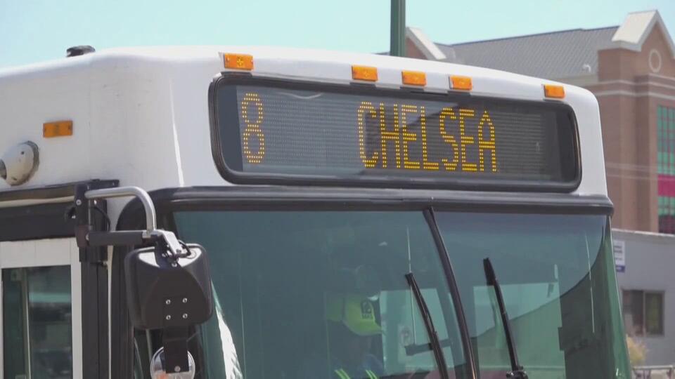 MATA to offer free ride service in the coming weeks - NewsBreak