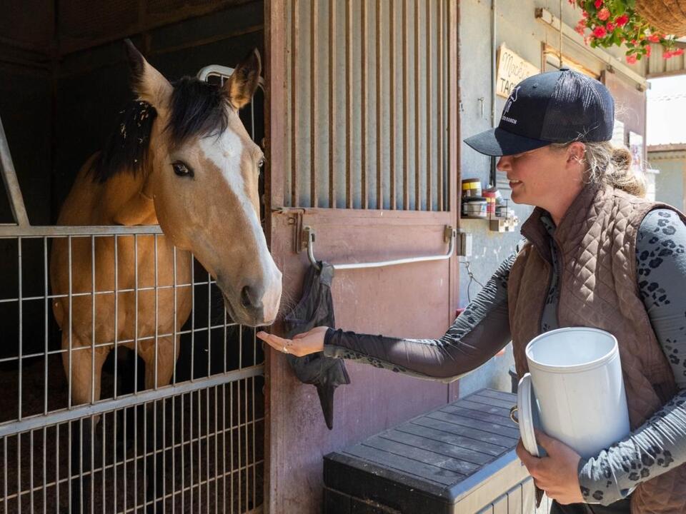 Housing Horses at the OC Equestrian Center is Getting More Expensive