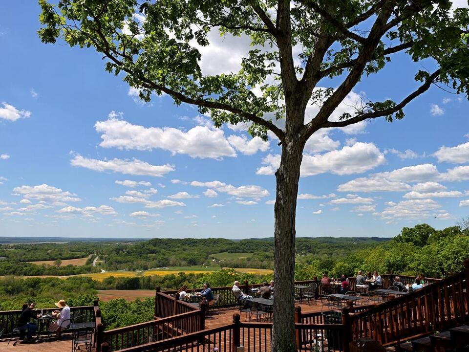 Hoffmann's Augusta Winery sued by Missouri grapegrower over crop deal