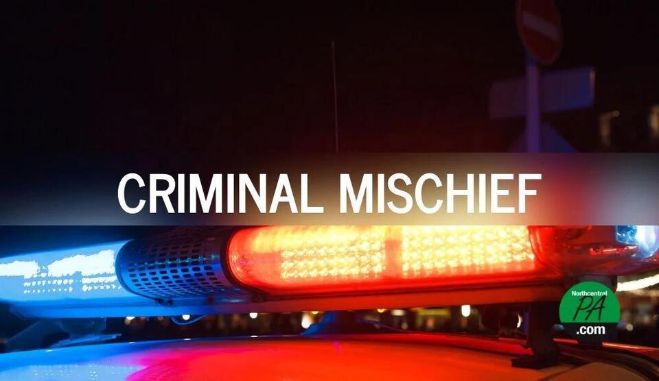 Norry man accused of causing thousands in damage - NewsBreak