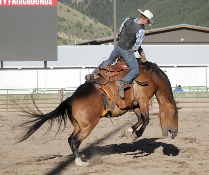 Crystal Springs Cattle wins 2026 Ranch Rodeo - NewsBreak