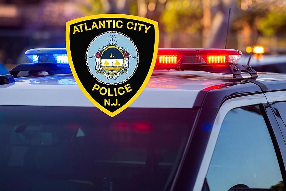 Atlantic City, NJ, Police Department Adds New K9 Officers - NewsBreak