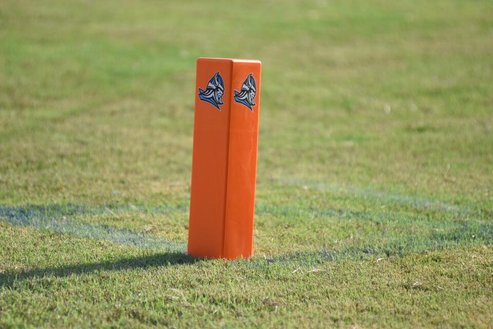 Vikings defeat Vipers in overtime