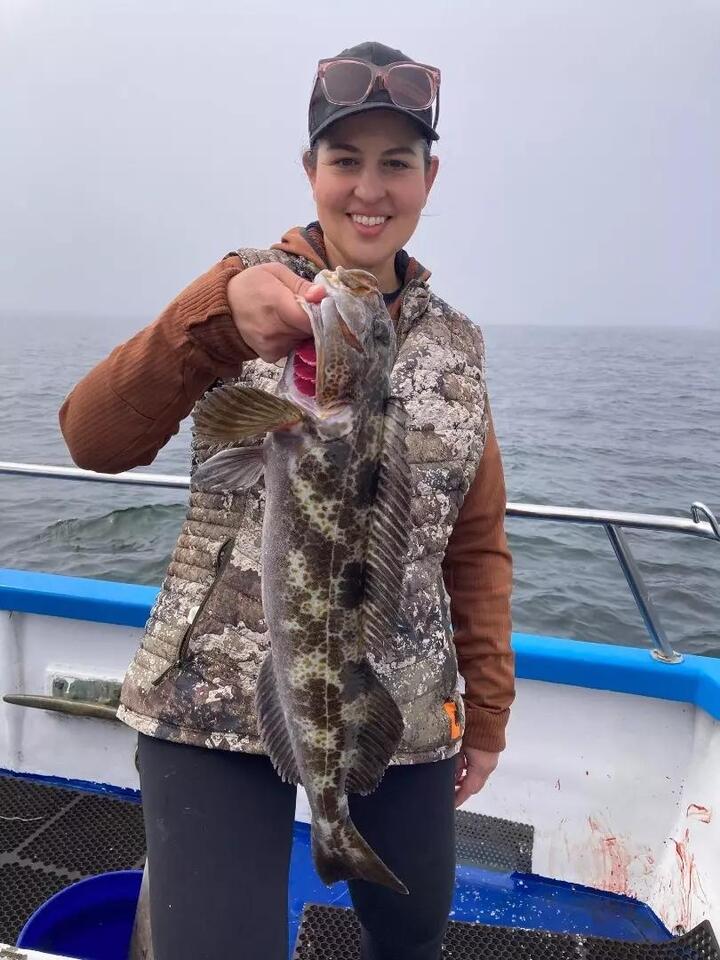 Rock fish and some salmon