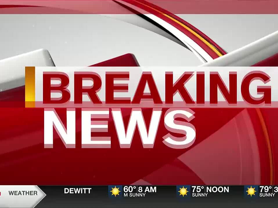 Man dies after car crash in Locke Township on Haslett Road