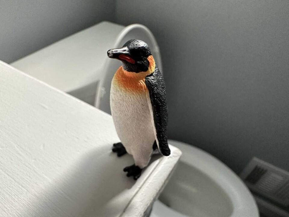 What happens when you accidentally flush a small object down the toilet?