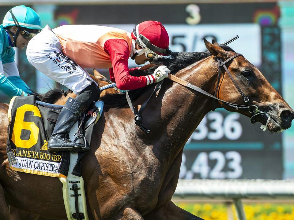 Planetario Breaks His Own Track Record To Win Another GIII San Juan