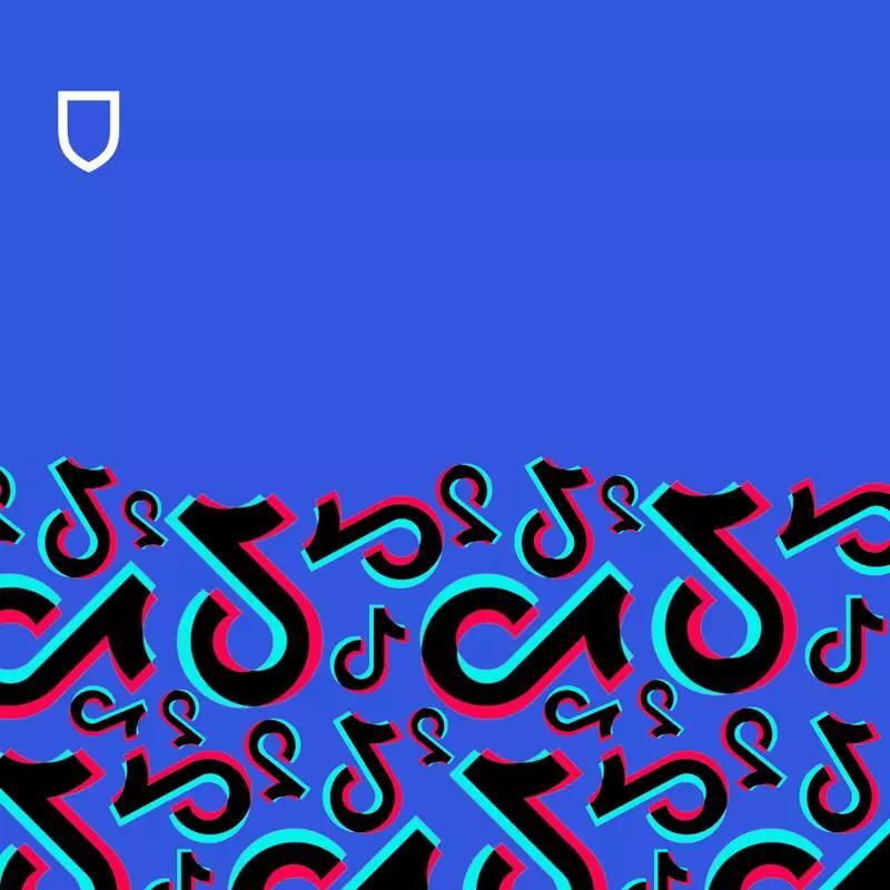 Partisan Pink Slime Network Weaponizes TikTok - NewsBreak