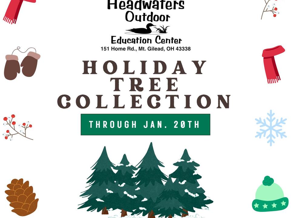 Holiday Tree Collection through Jan. 20th, 2025 on 12/26/2025