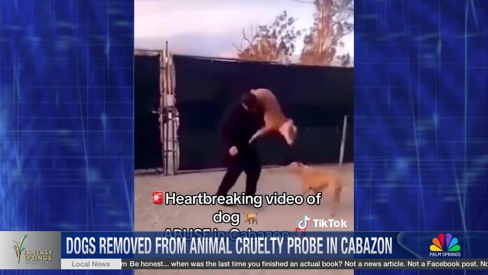 Two Dogs Removed from Cabazon Property Amid Animal Abuse Investigation ...