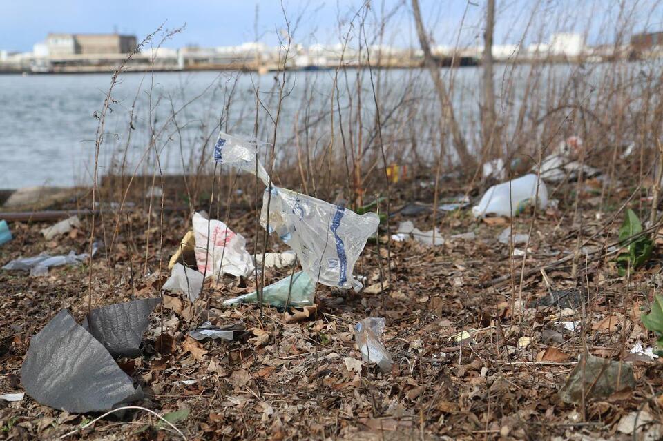 Spring cleaning, Staten Island style: Clean Team asks for litter ...