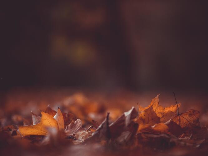 Oakdale Daily Weather Forecast