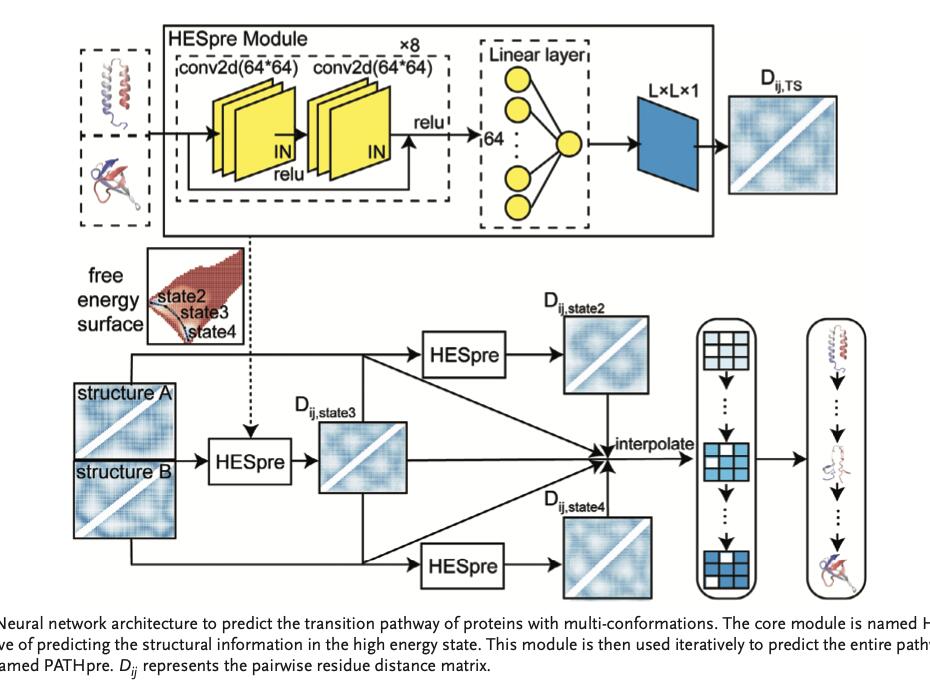 A Study on Protein Conformational Changes Using a Large-Scale ...