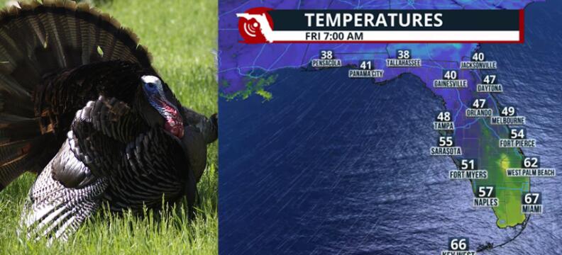 A cold front brings changes to Florida for the Thanksgiving holiday ...