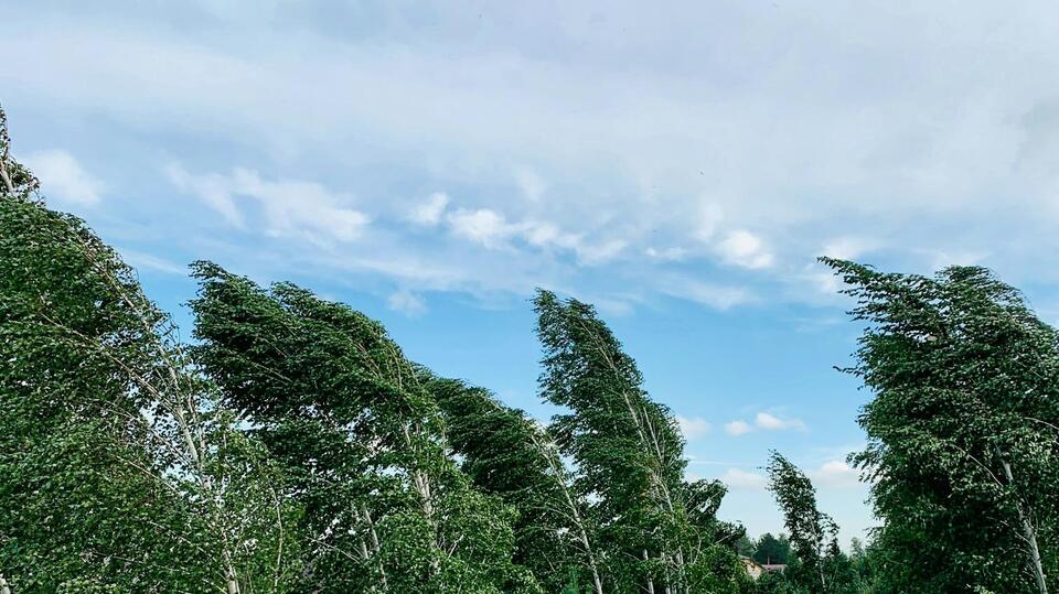 Cold Front Sweeps Into Capital Region This Weekend, Temperature Drops ...